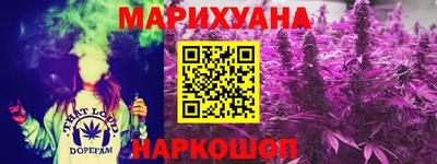 индика Ирбит