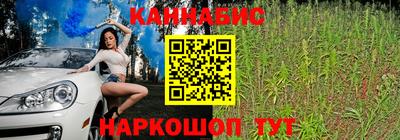 индика Ирбит