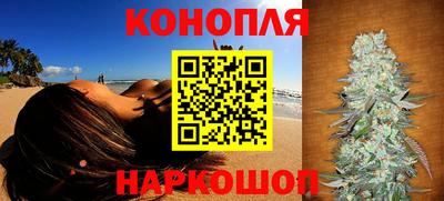 индика Ирбит