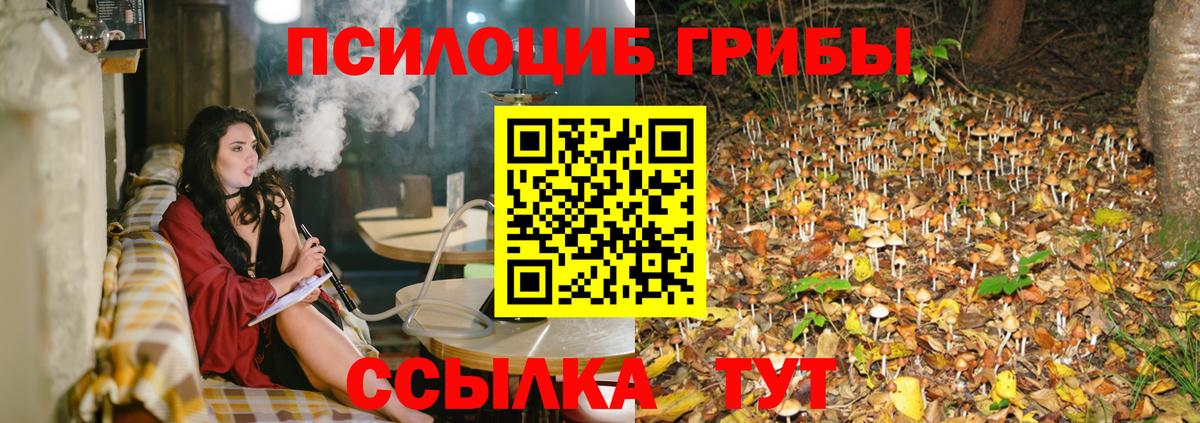 Галлюциногенные грибы Psilocybine cubensis Кыштым